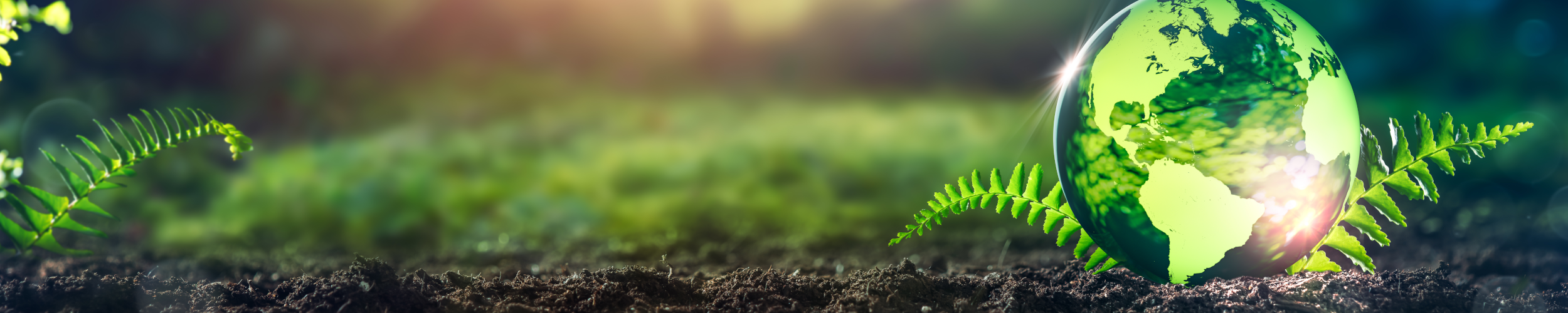 wir betreiben unsere Baustellenkameras nachhaltig.